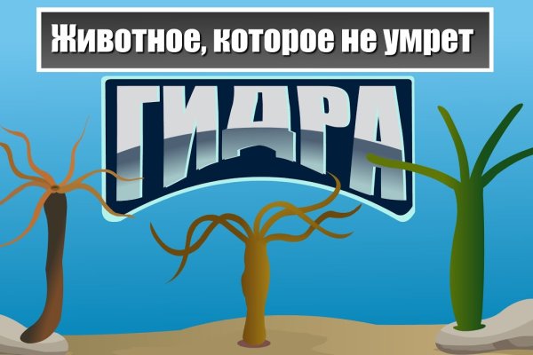 Как зайти на кракен через браузер